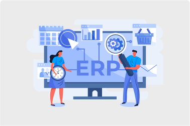 ERP Software Development